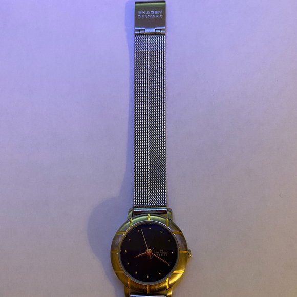 Skagen Denmark Mesh Band Ladies Watch - Picture 3 of 4